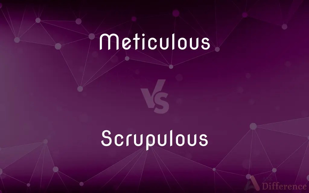 Meticulous vs. Scrupulous — What’s the Difference?