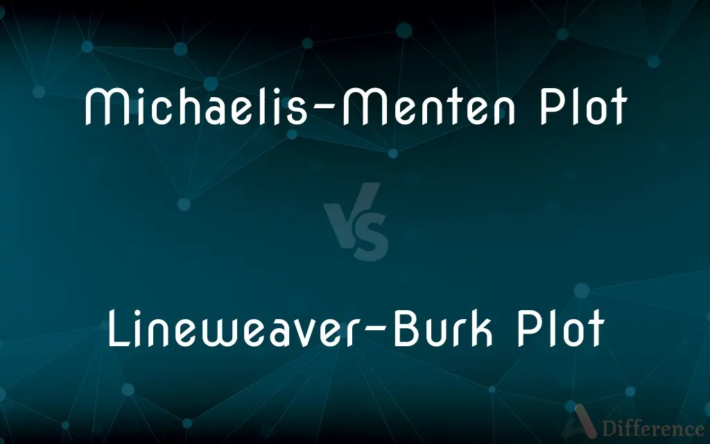 MichaelisMenten Plot vs. LineweaverBurk Plot — What’s the Difference?