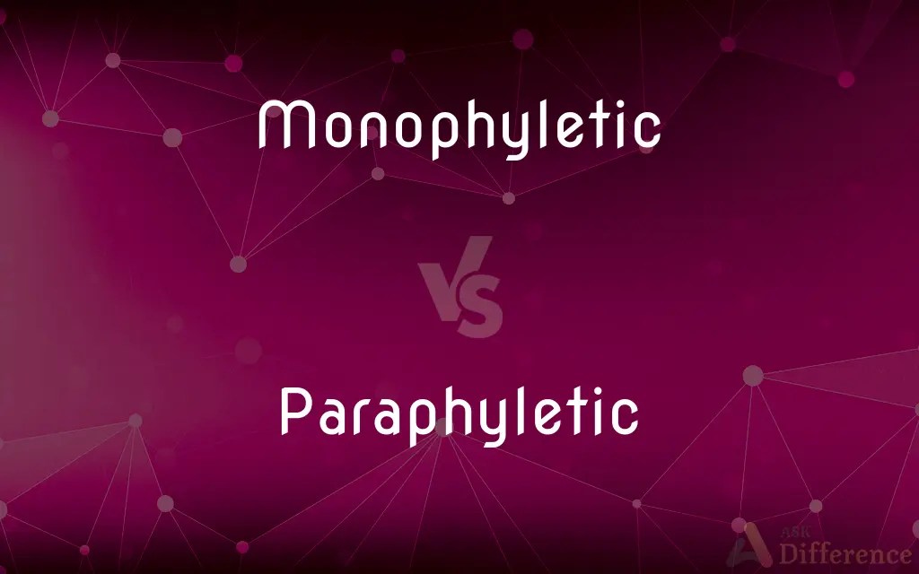 Monophyletic vs. Paraphyletic — What’s the Difference?