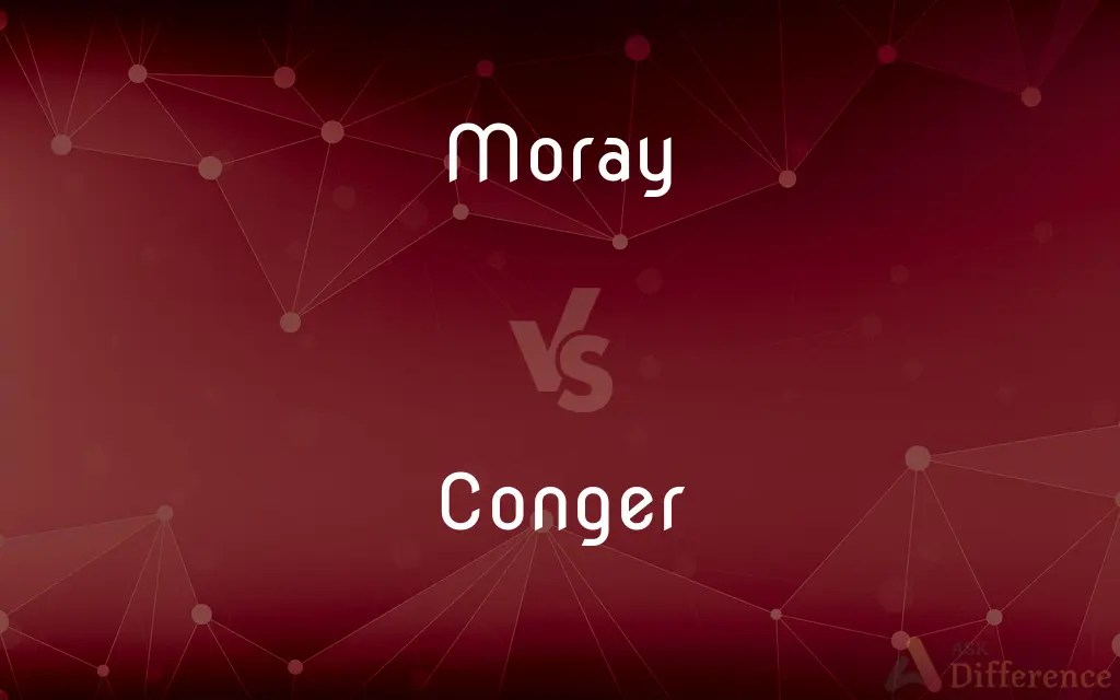 Moray vs. Conger — What’s the Difference?