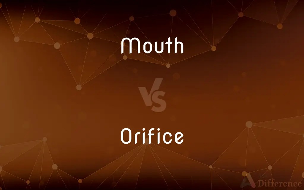 Mouth vs. Orifice — What’s the Difference?