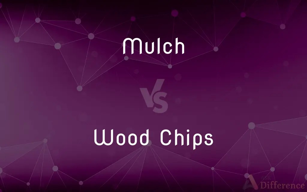Mulch vs. Wood Chips — What’s the Difference?