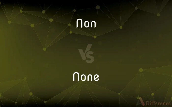 Non vs. None — What’s the Difference? Are non credit courses worth it