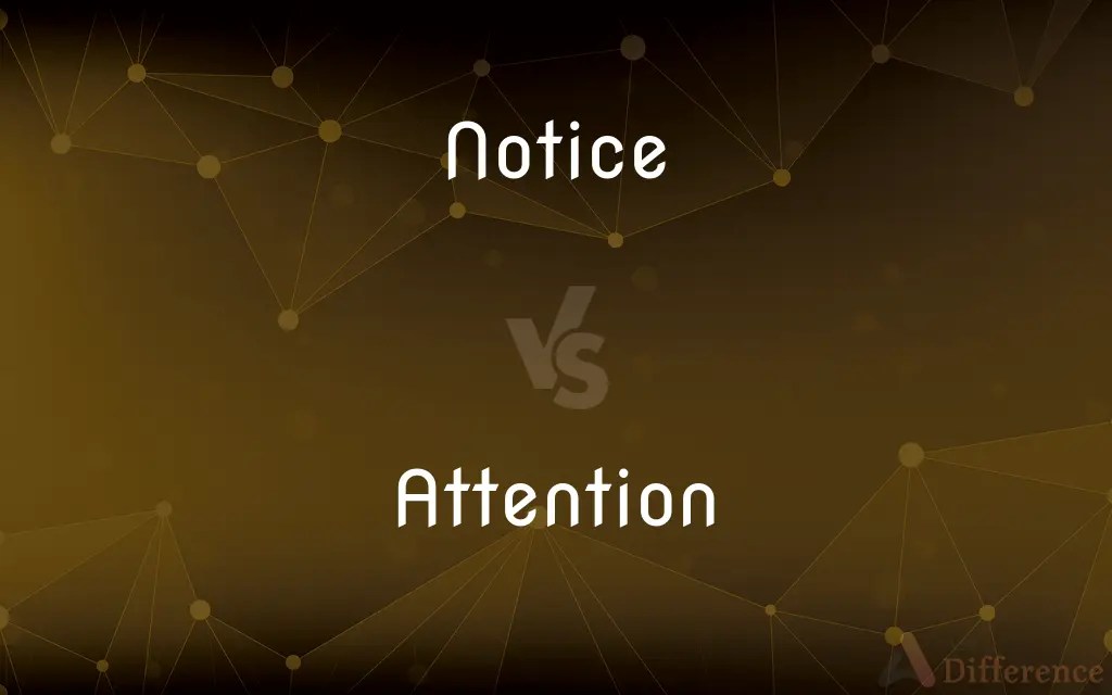Notice vs. Attention — What’s the Difference?