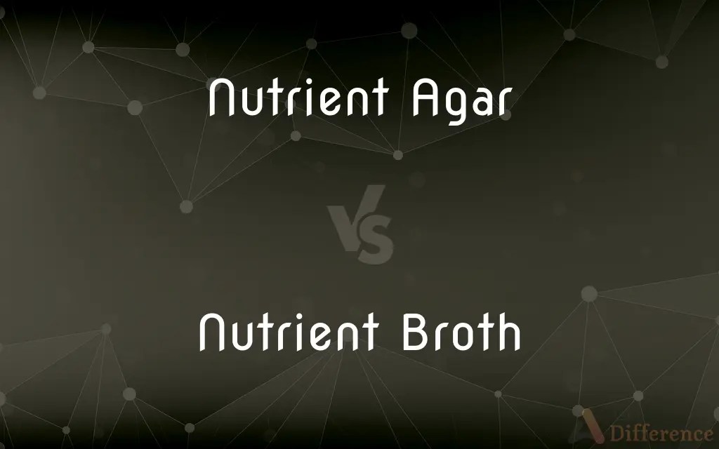 Nutrient Agar vs. Nutrient Broth — What’s the Difference?