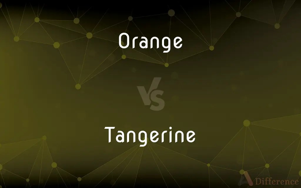 Orange vs. Tangerine — What’s the Difference?