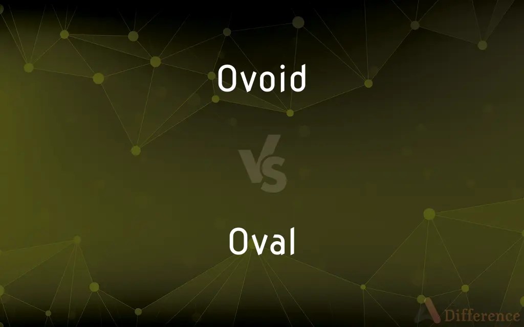 Ovoid vs. Oval — What’s the Difference?