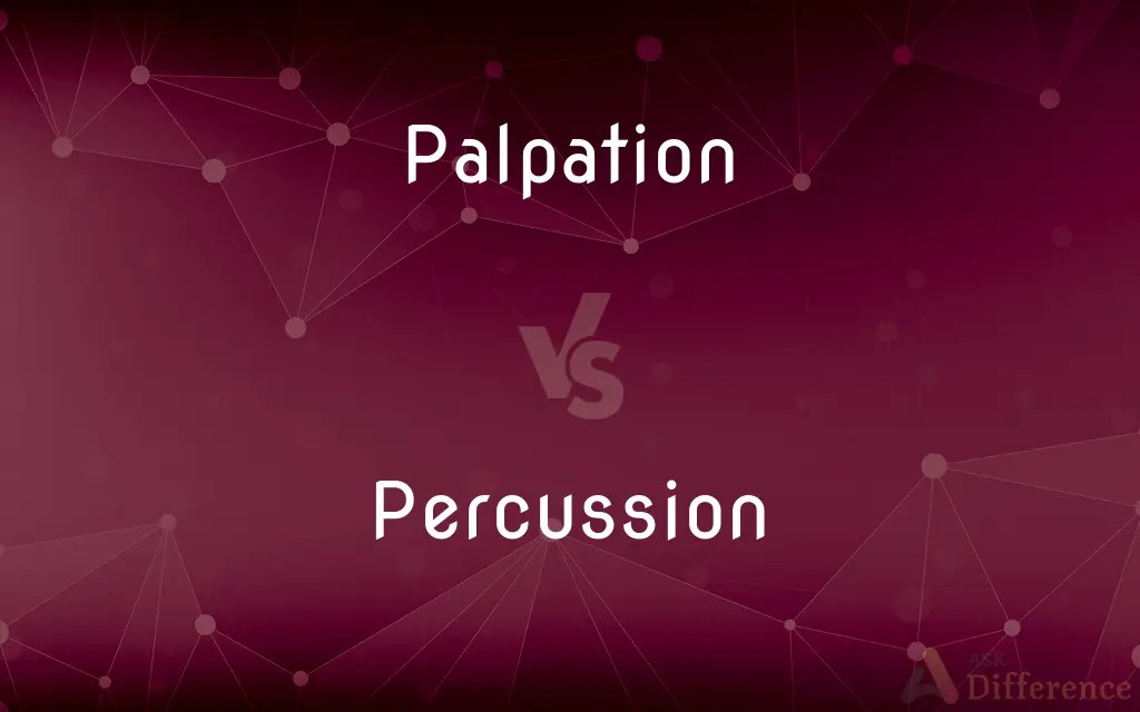 Palpation vs. Percussion — What’s the Difference?