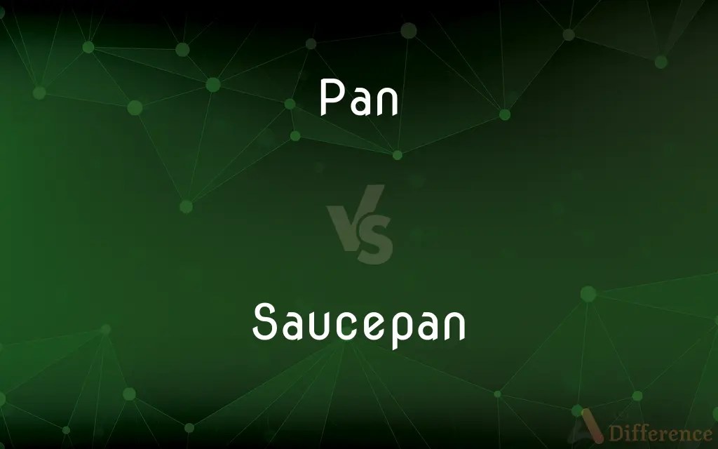 Pan vs. Saucepan — What’s the Difference?