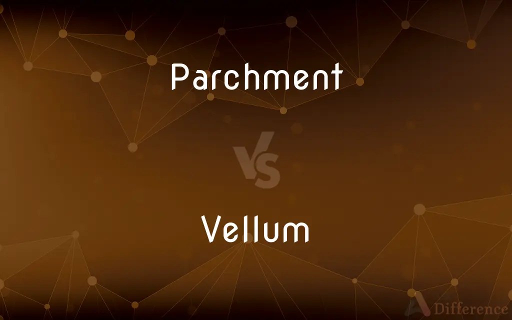 Parchment vs. Vellum — What’s the Difference?
