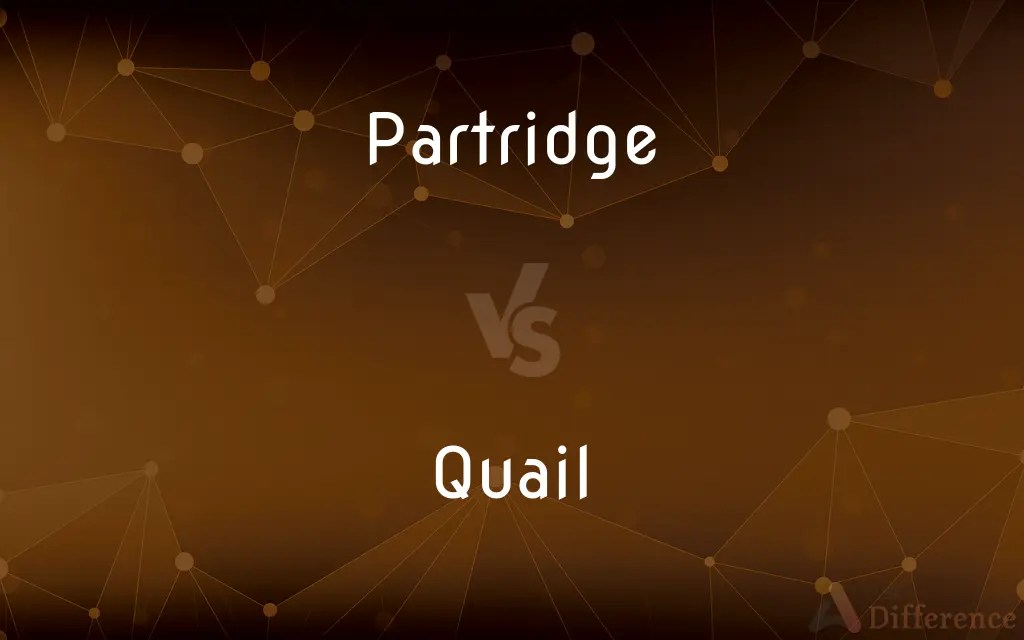 Partridge vs. Quail — What’s the Difference?