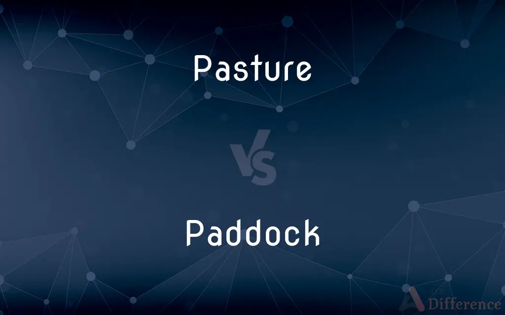 Pasture vs. Paddock — What’s the Difference?