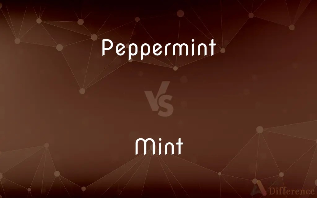 Peppermint vs. Mint — What’s the Difference?