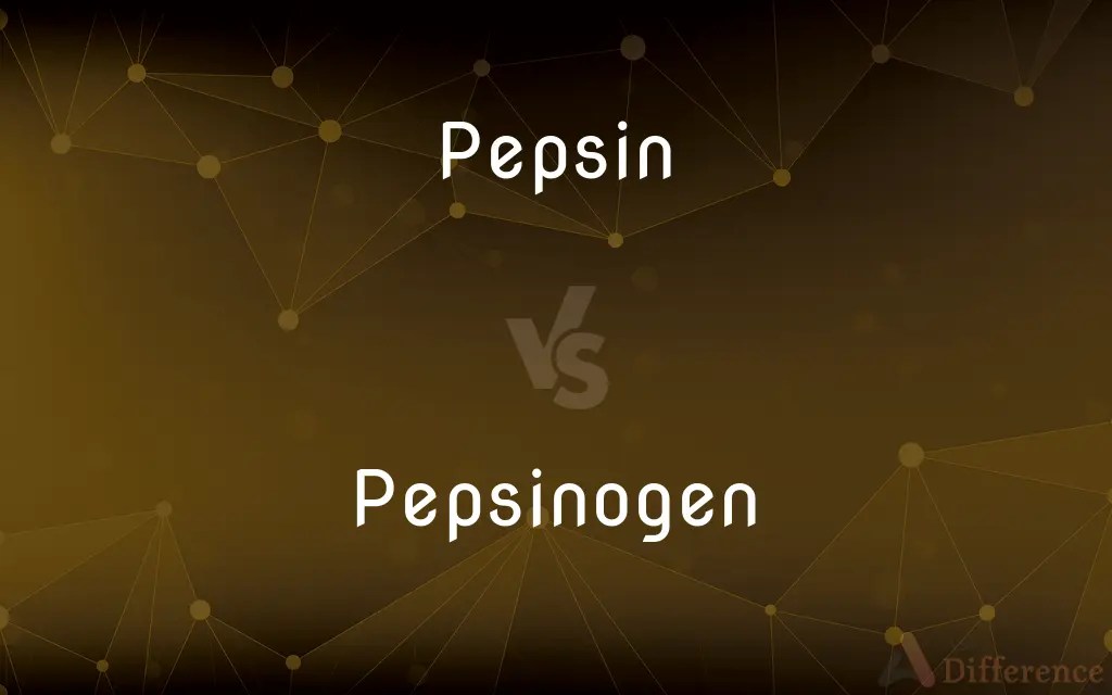 Pepsin vs. Pepsinogen — What’s the Difference?
