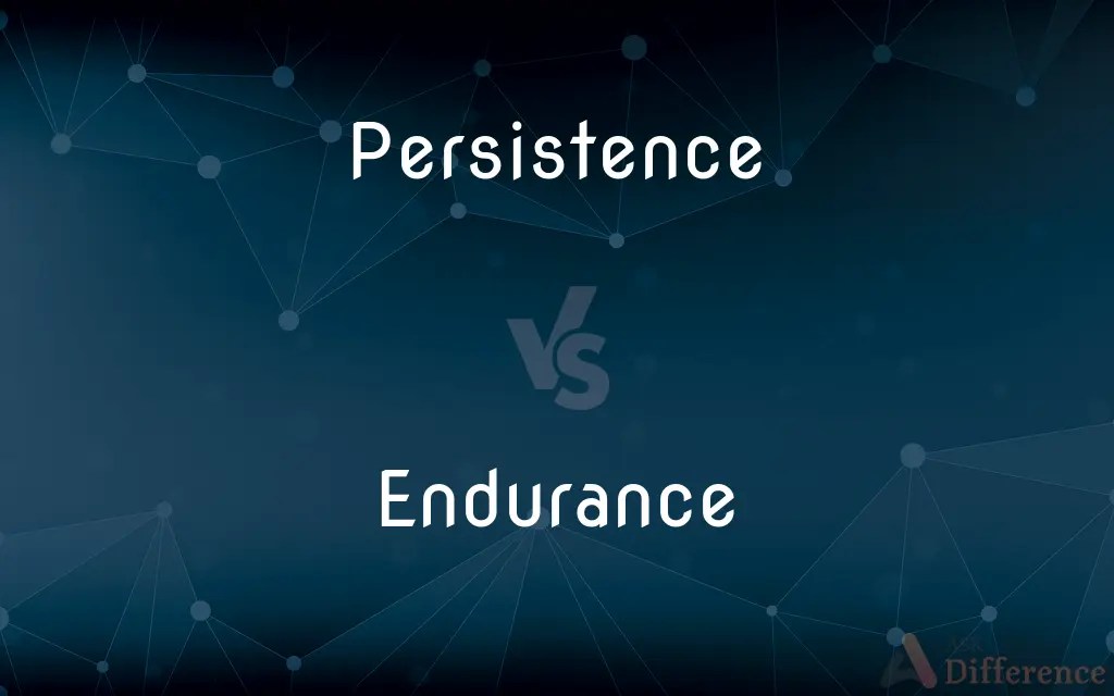 Persistence vs. Endurance — What’s the Difference?