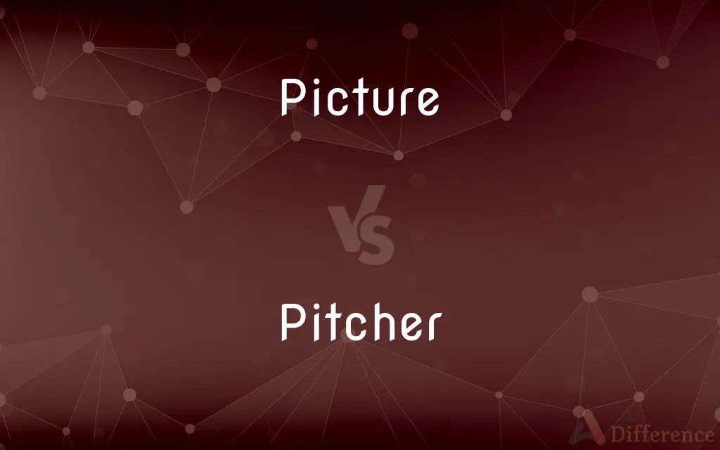 Picture vs. Pitcher — What’s the Difference?