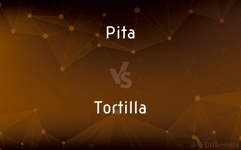Pita vs. Tortilla — What’s the Difference?
