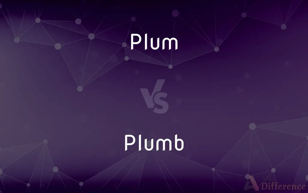Plum vs. Plumb — What’s the Difference?