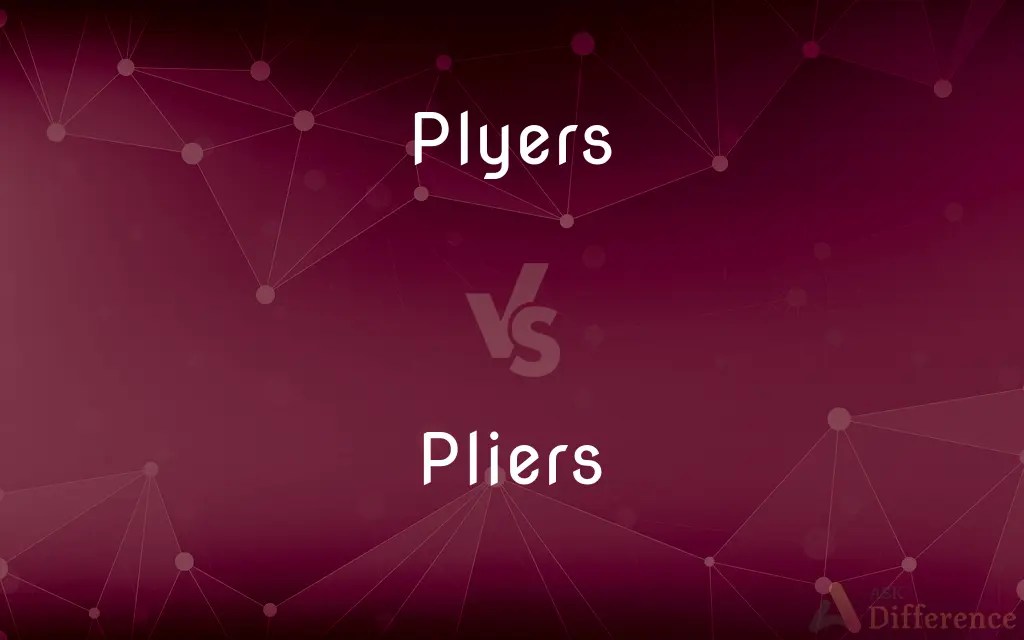 Plyers vs. Pliers — What’s the Difference?