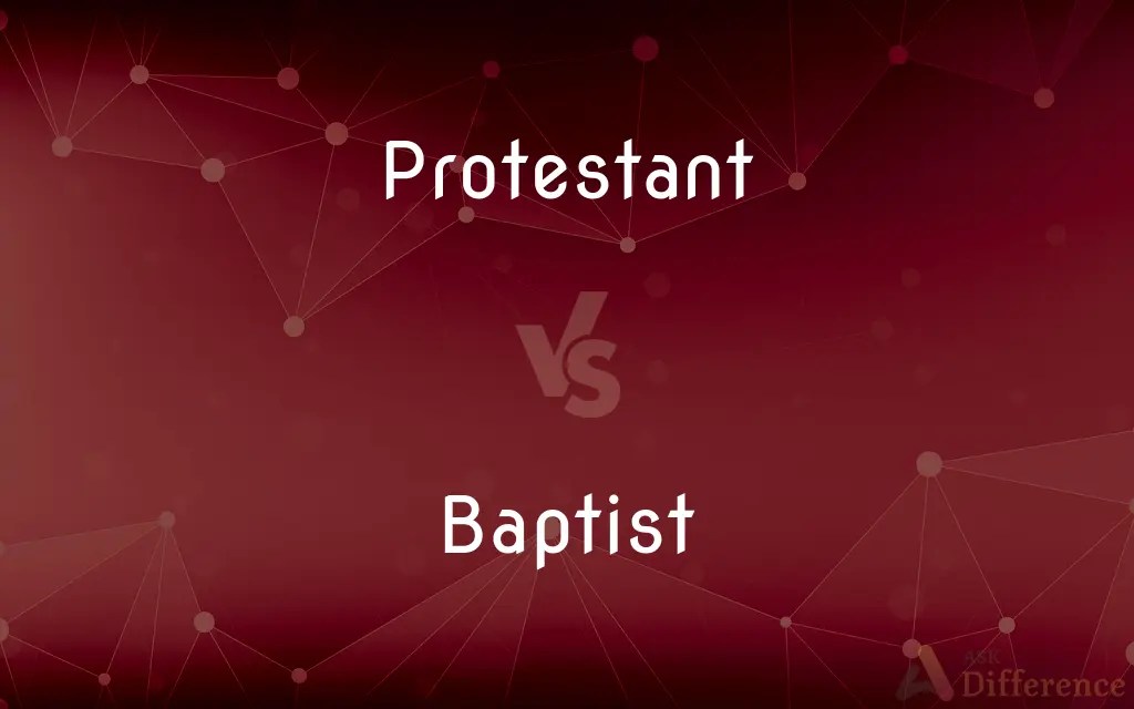 Protestant vs. Baptist — What’s the Difference?