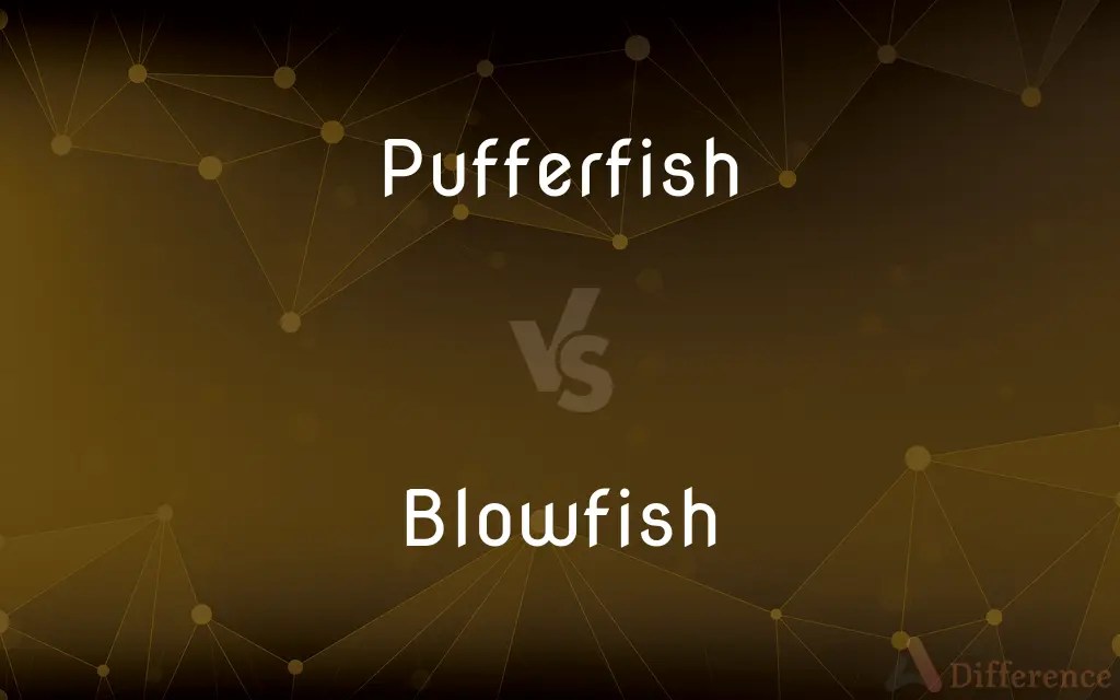 Pufferfish vs. Blowfish — What’s the Difference?