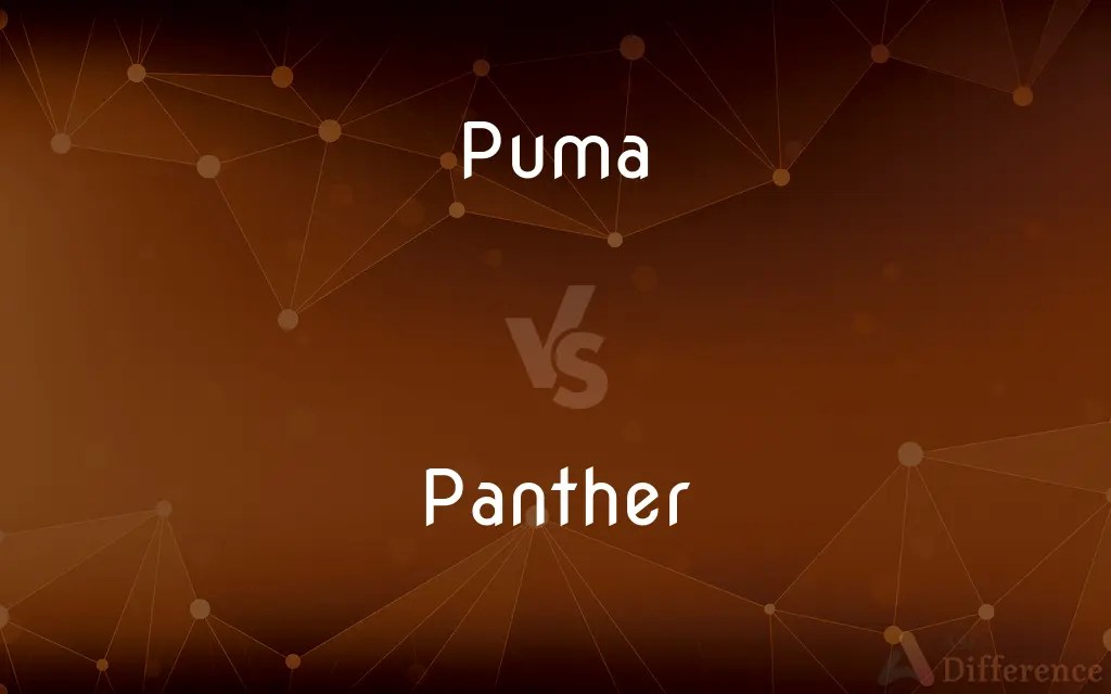 Puma vs. Panther — What’s the Difference?