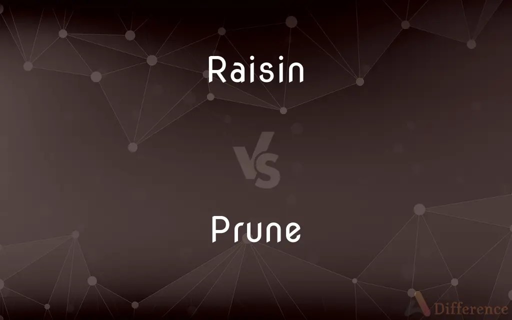 Raisin vs. Prune — What’s the Difference?