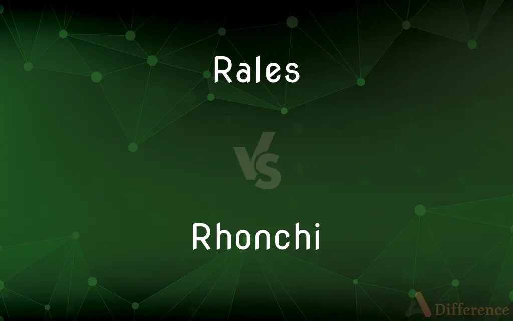 Rales vs. Rhonchi — What’s the Difference?