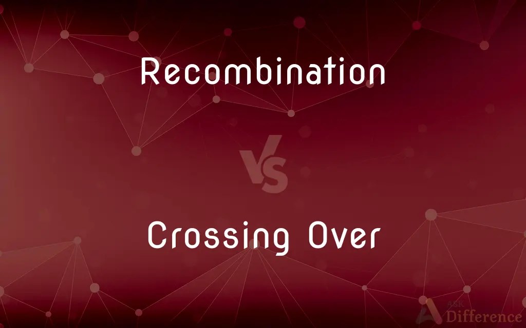 vs. Crossing Over — What’s the Difference?