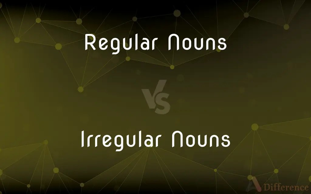 Regular Nouns vs. Irregular Nouns — What’s the Difference?