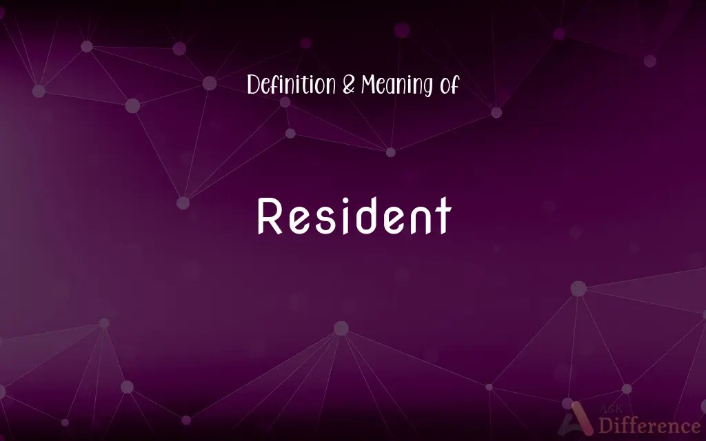 Resident Definition and Meaning