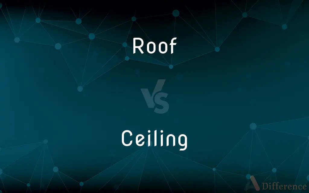 Roof vs. Ceiling — What’s the Difference?
