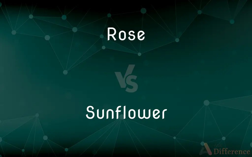 Rose vs. Sunflower — What’s the Difference?