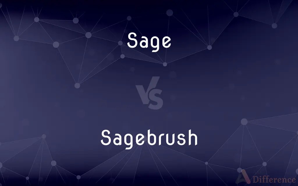 Sage vs. Sagebrush — What’s the Difference?