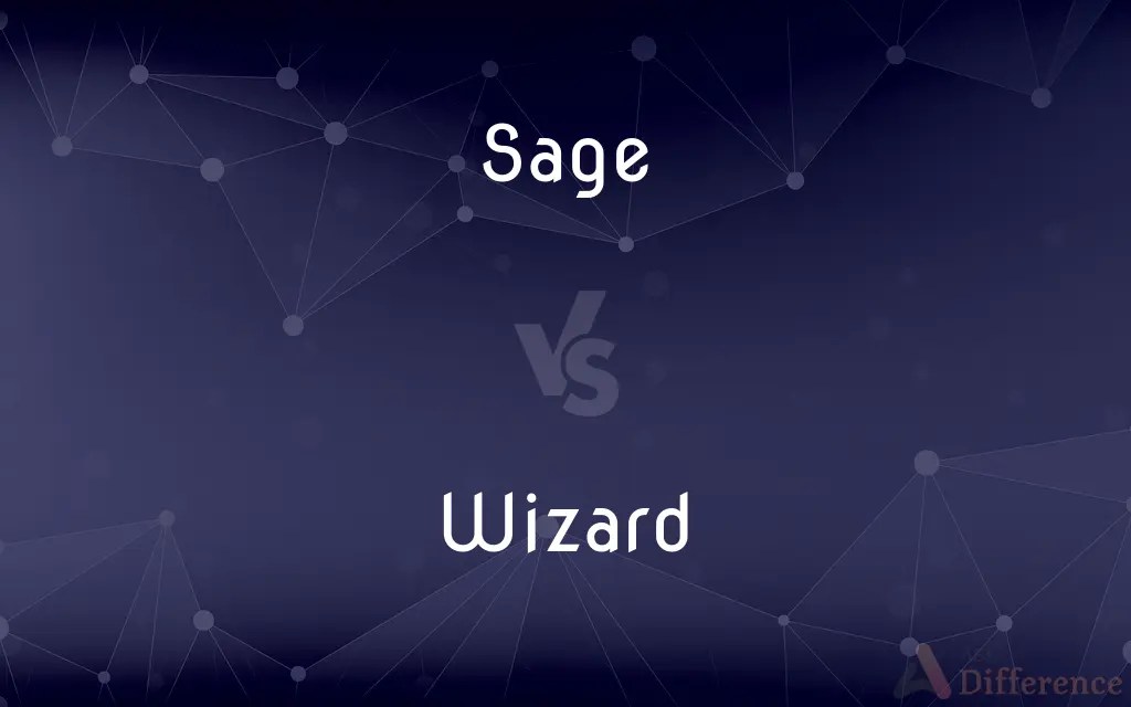 Sage vs. Wizard — What’s the Difference?
