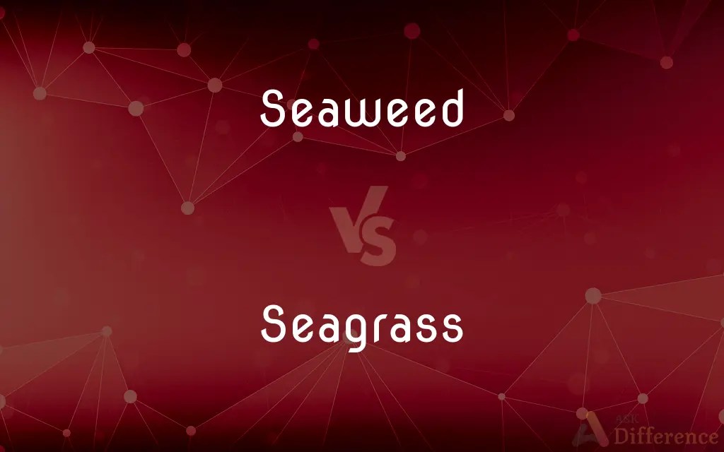 Seaweed vs. Seagrass — What’s the Difference?
