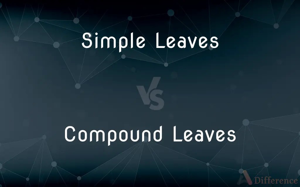 Simple Leaves vs. Compound Leaves — What’s the Difference?