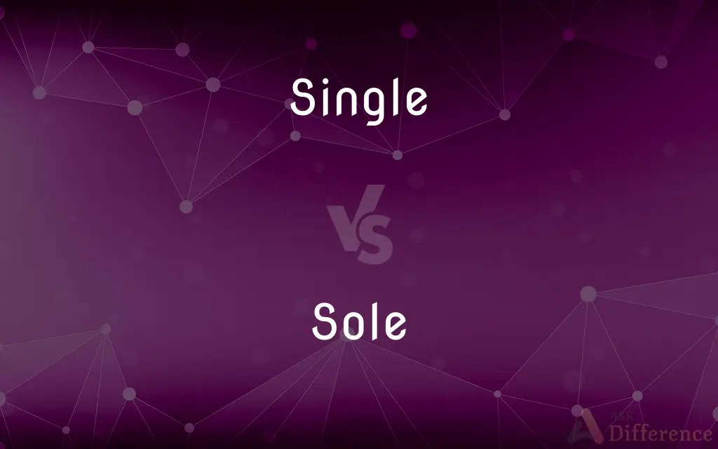 Single vs. Sole — What’s the Difference?