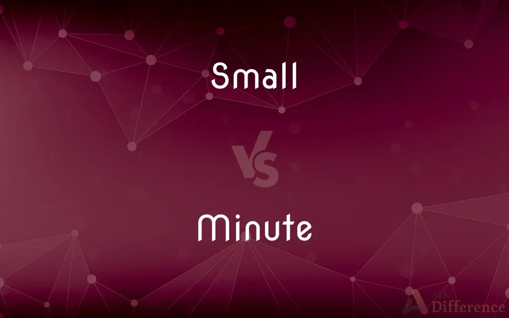 Small vs. Minute — What’s the Difference?
