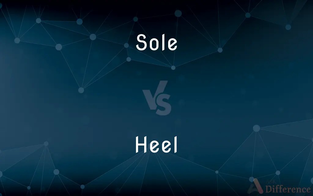 Sole vs. Heel — What’s the Difference?