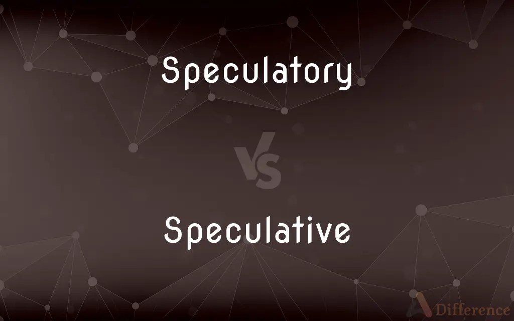 Speculatory vs. Speculative — What’s the Difference?