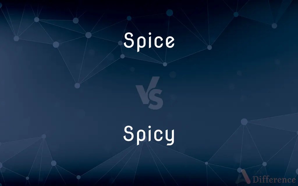 Spice vs. Spicy — What’s the Difference?
