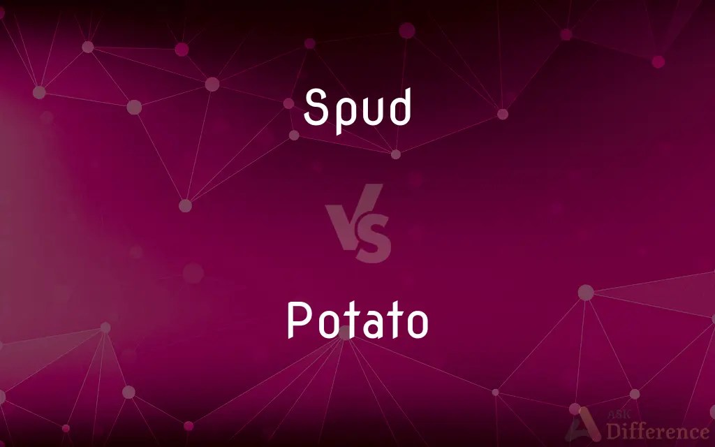Spud vs. Potato — What’s the Difference?