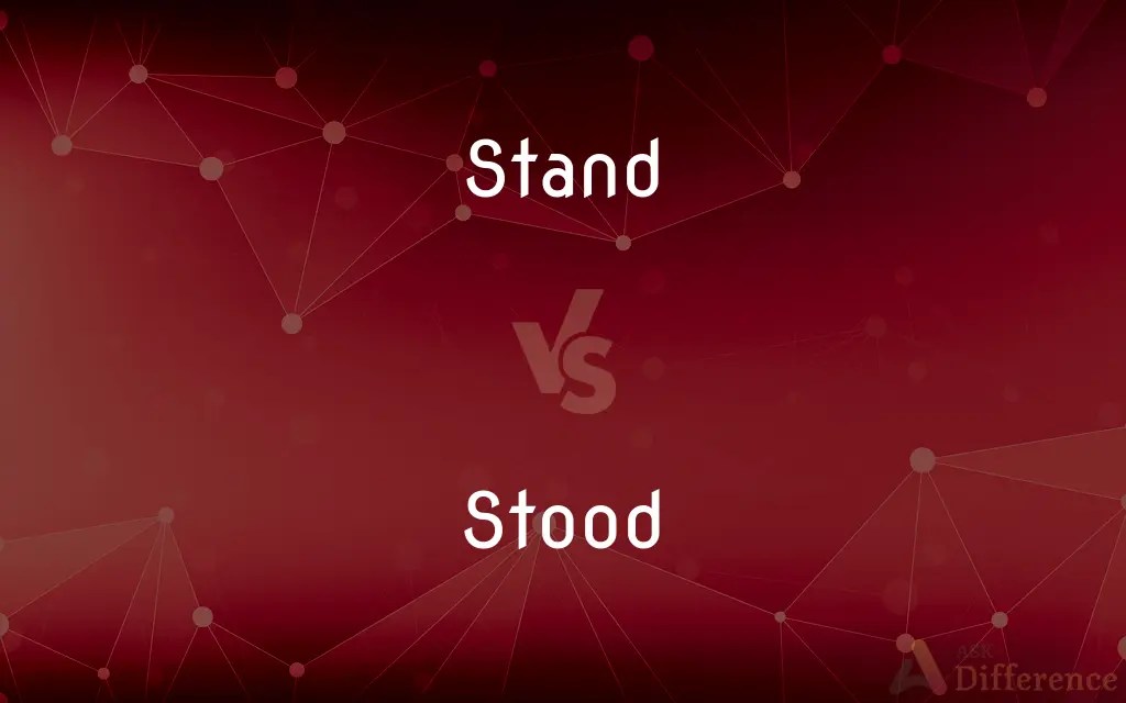 Stand vs. Stood — What’s the Difference?