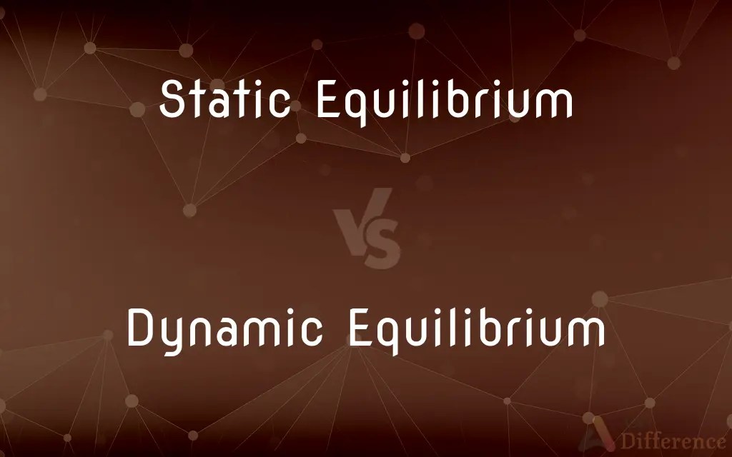 Static Equilibrium vs. Dynamic Equilibrium — What’s the Difference?