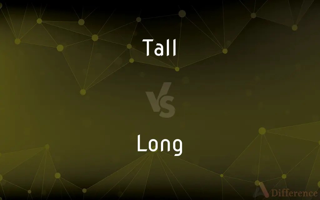 Tall vs. Long — What’s the Difference?