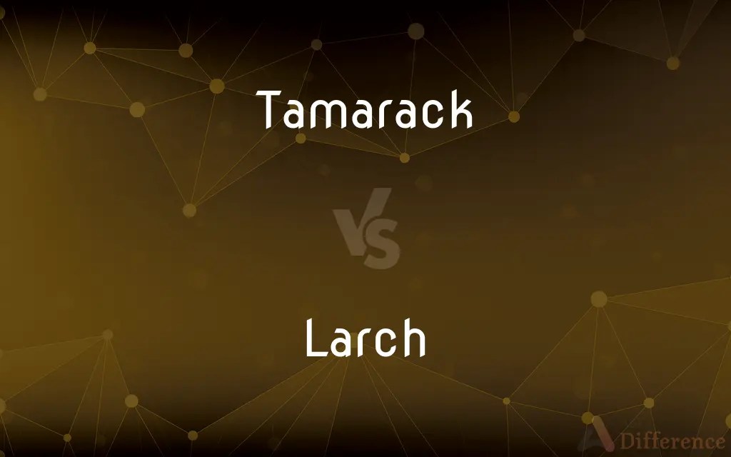 Tamarack vs. Larch — What’s the Difference?