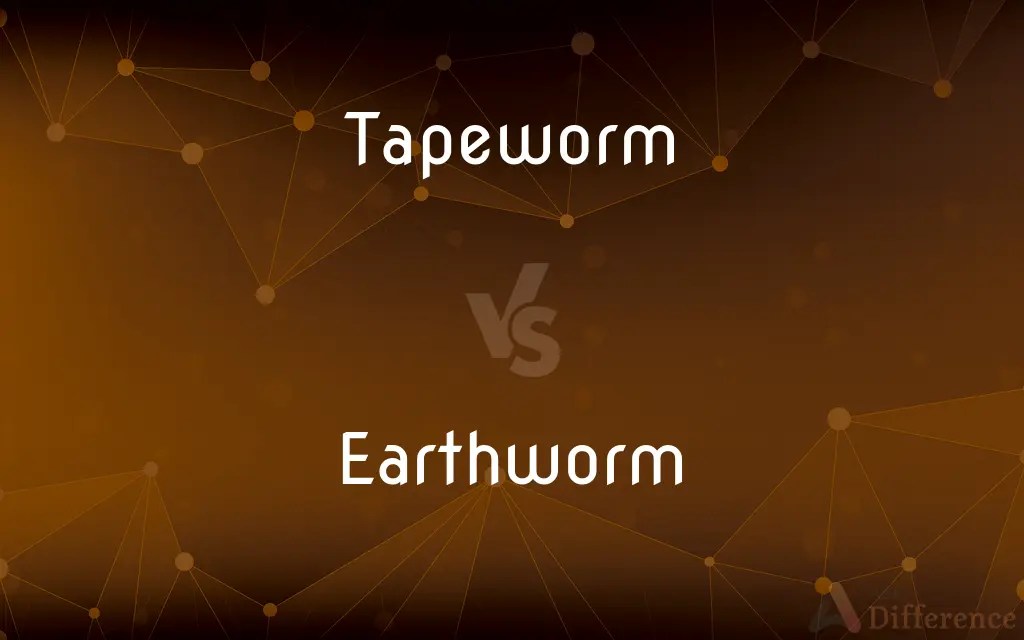 Tapeworm vs. Earthworm — What’s the Difference?