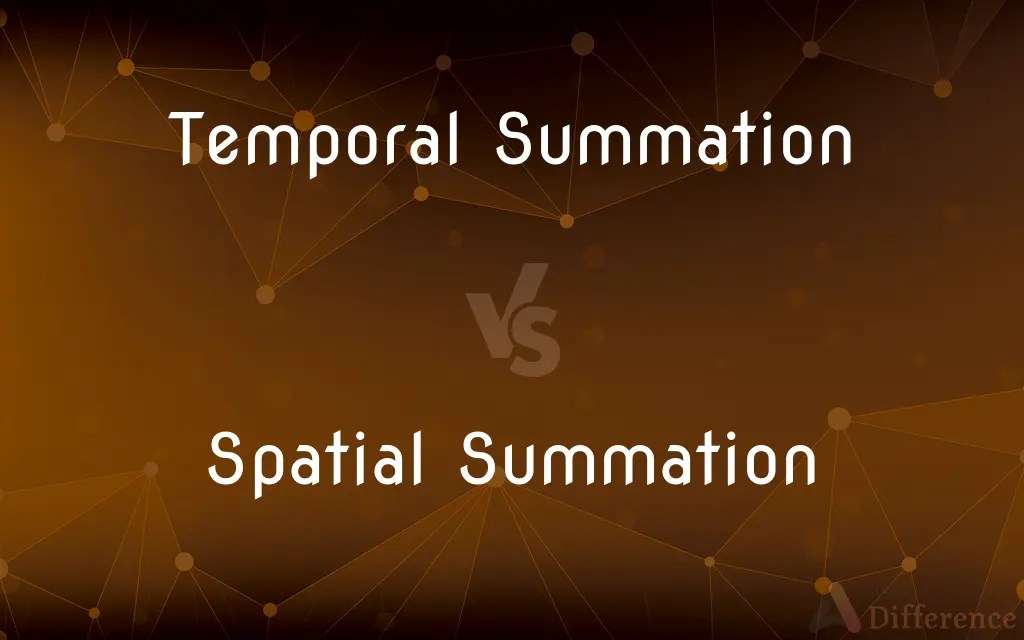 Temporal Summation vs. Spatial Summation — What’s the Difference?