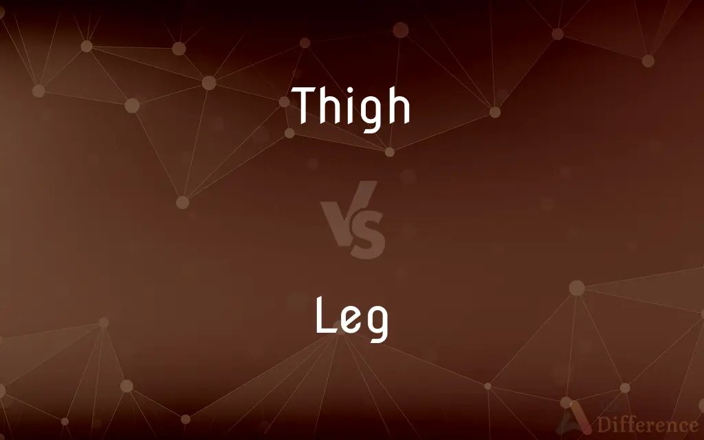 Thigh vs. Leg — What’s the Difference?